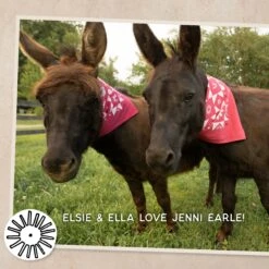 Dansko Jenni Earle Bandana -Dansko Store JenniEarleBandana2400x2400 5